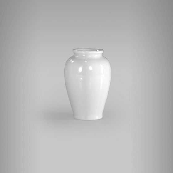 Vaso Mini 256 1