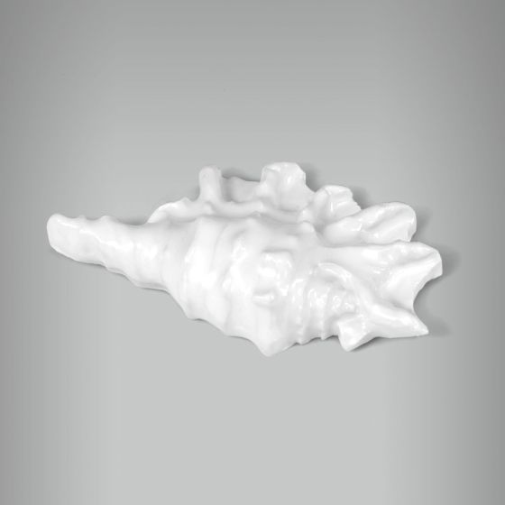 Aplique Concha Murex 1