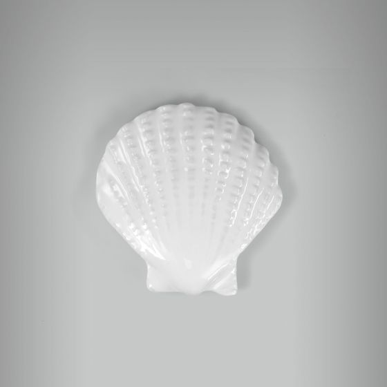 Aplique Concha Scallop 1