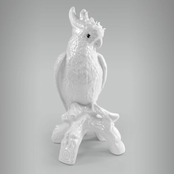 Cacatua com Arrepio 1