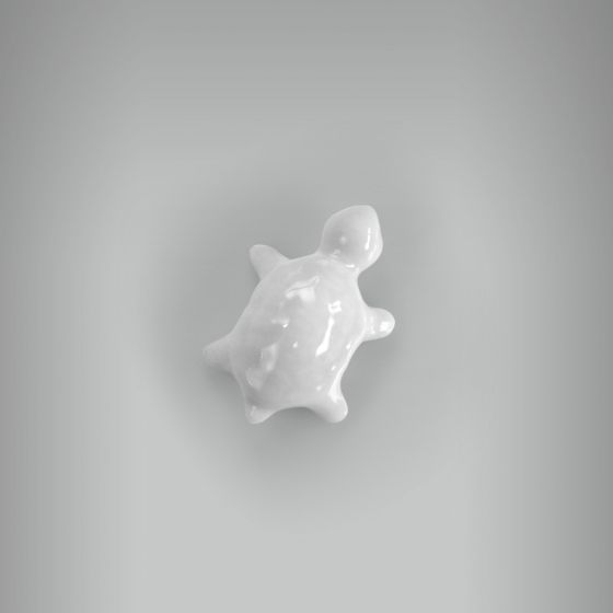 Tartaruguinha Mini 1