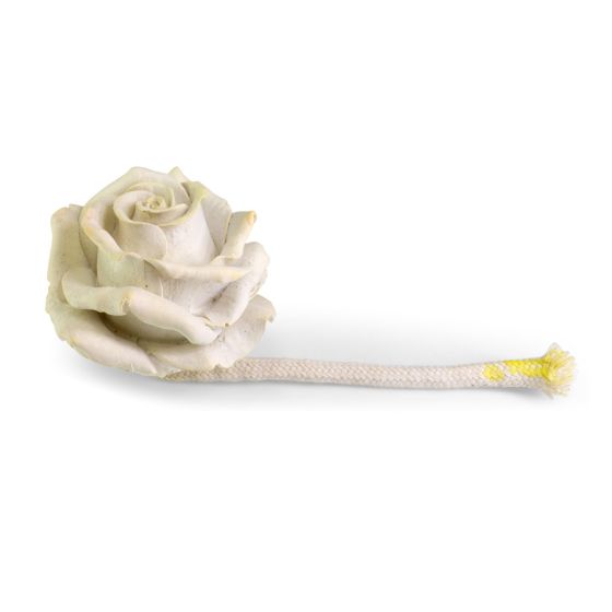 Flor De Gesso Mágica 1