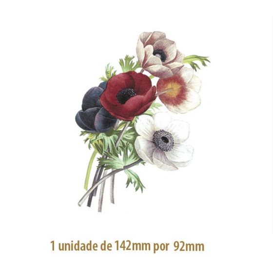 Austin Rose E - 160x105mm 1