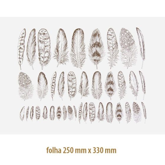 Decalque Contorno Penas Sepia 01 1