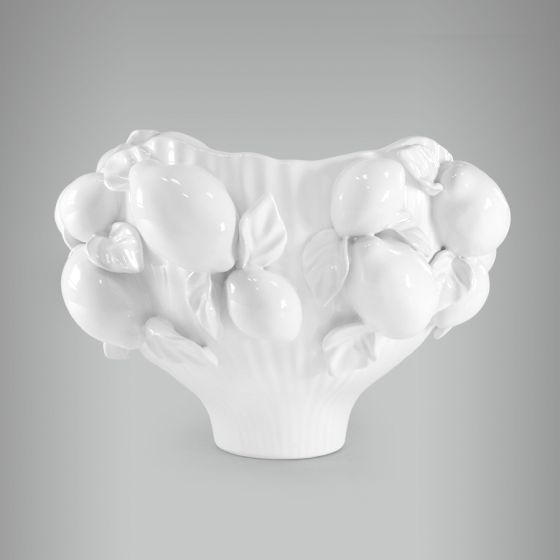 Cachepô Orgânico Baixo com Limão 1