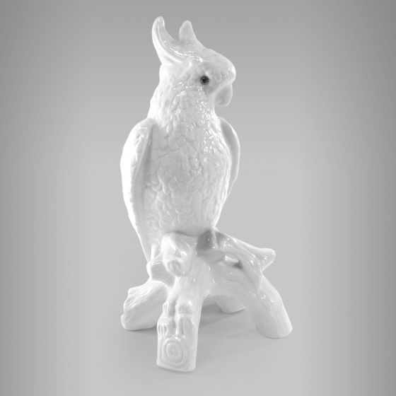 Cacatua sem Arrepio 1