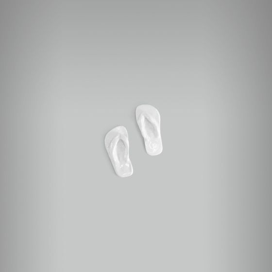 Aplique Par de Chinelos Havaianas 1