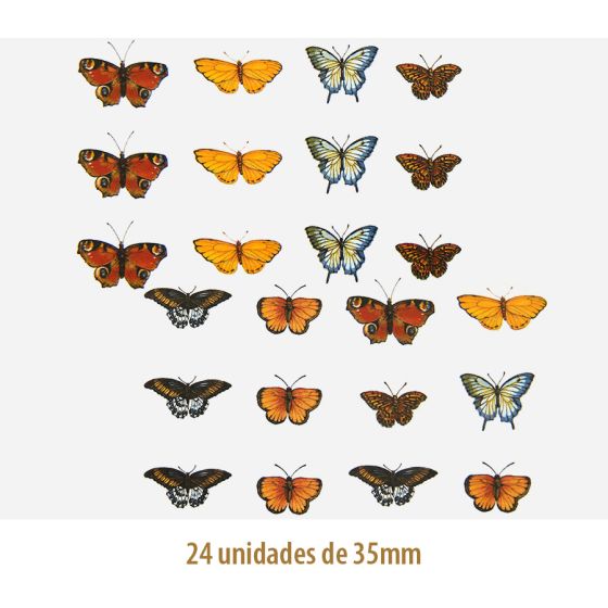 Mix of Butterflies - 35mm 1