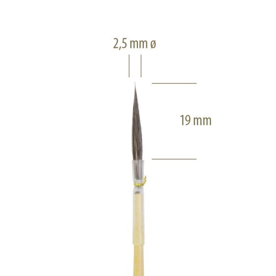 299 RO nº 03 - PINCEL LEONARD 1