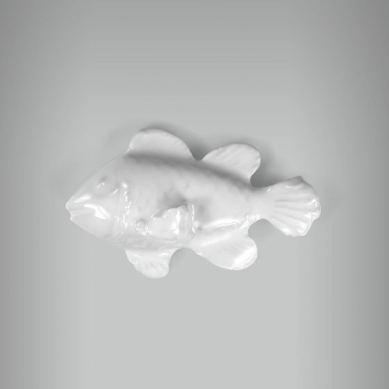 Aplique Peixe Nemo 1