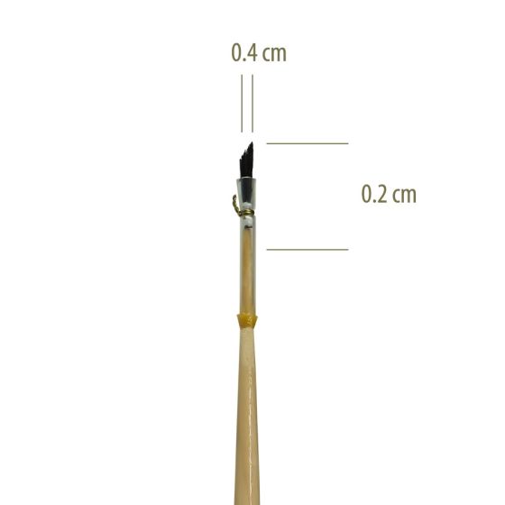 311 PB nº 02 - PINCEL PITUÁ LEONARD 1