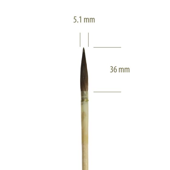 1308 Nº 8 - Pincel Feustel Pontiagudo de Pelo Longo 1