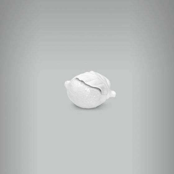 Aplique Limão - PP 1