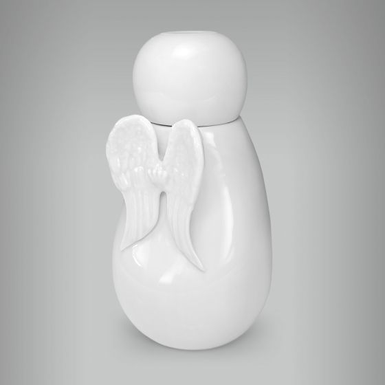 Moringa Anjo 1 1