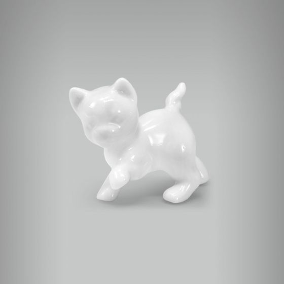Gatinho 1