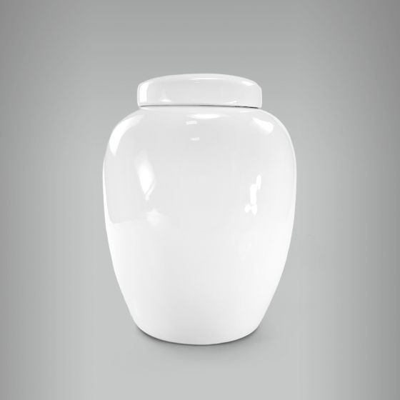 Pote Salvador Grande 1