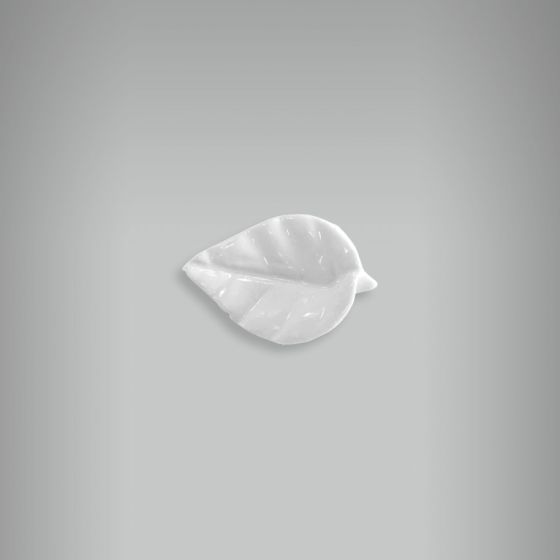 Aplique Folha LR - P 1