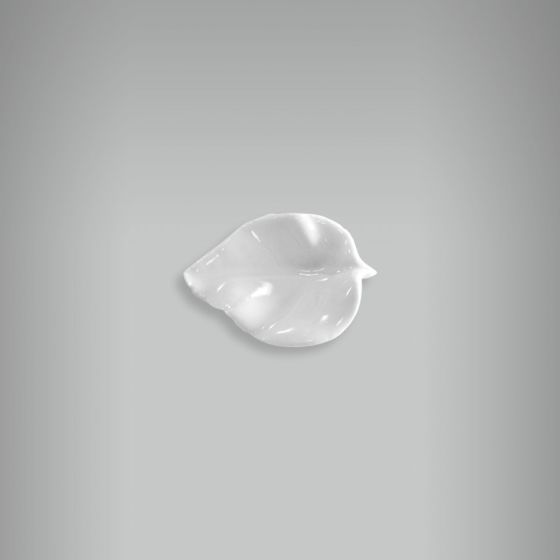 Aplique Folha LR - PP 1