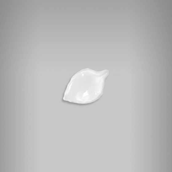 Aplique Folha Redonda - P 1