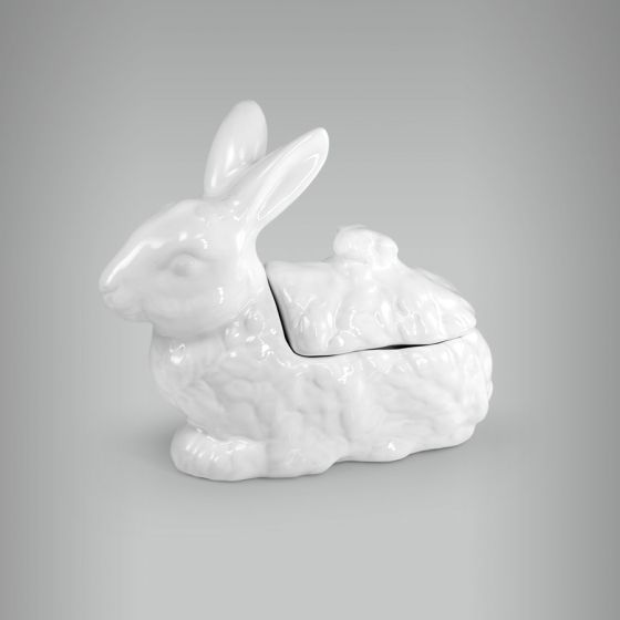 Coelho-Porcelana-09a.jpg