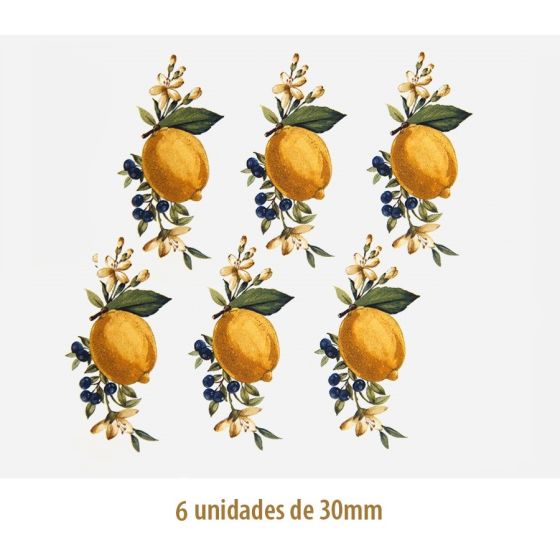 D_Lemon_30mmx6un_A.jpg
