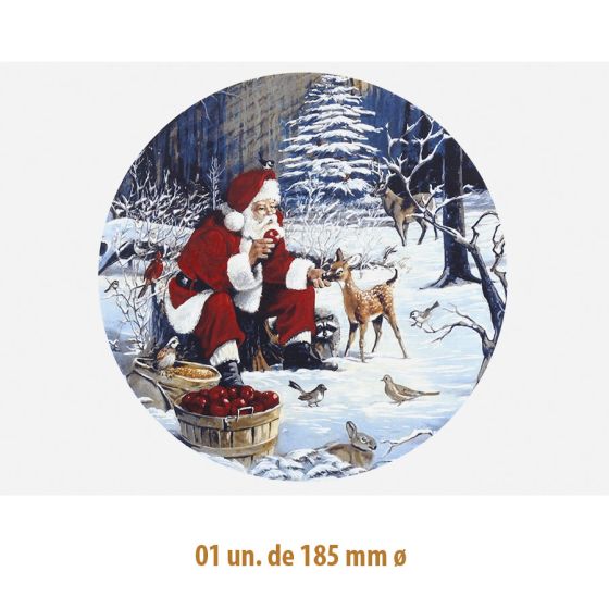 D-SANTA-CLAUS-185.jpg