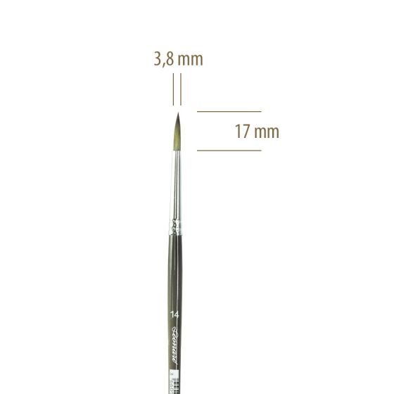 Medidas-Pincel-50RO-14.jpg