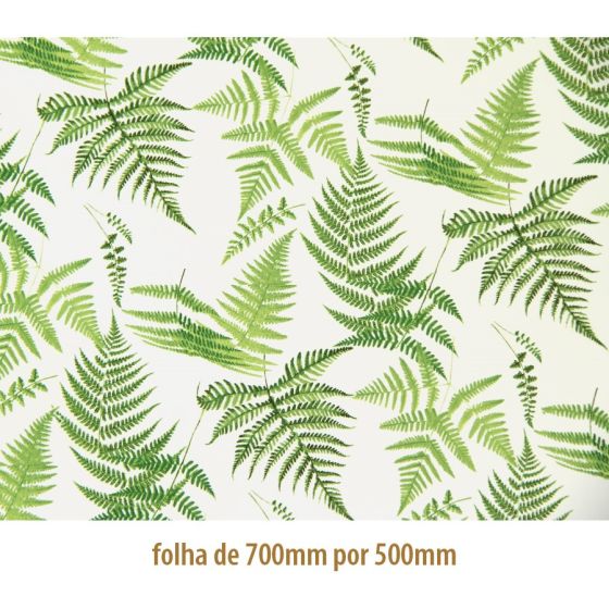 Fern_Chintz_Clear_BG_B.jpg