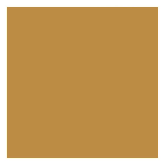 Chapado Ocre Claro - Porcelana 1