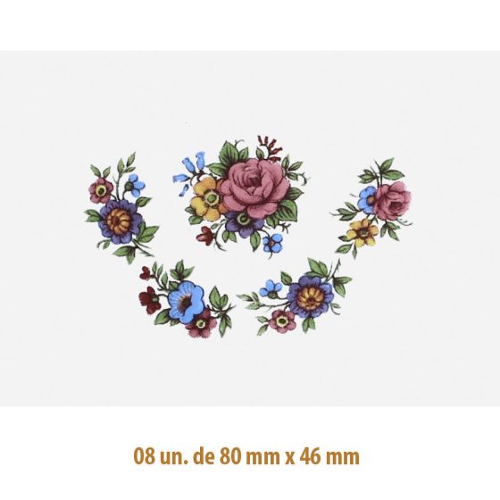 Clau F - 80x46mmX6un