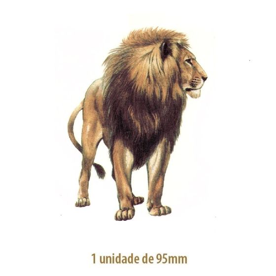 Lion - 95mm - VIDRO 1