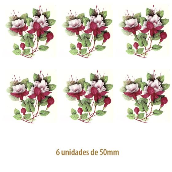 Pink Fucsia - 50mm 1