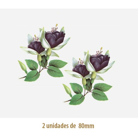 Violet Fucsia B - 80mm 1