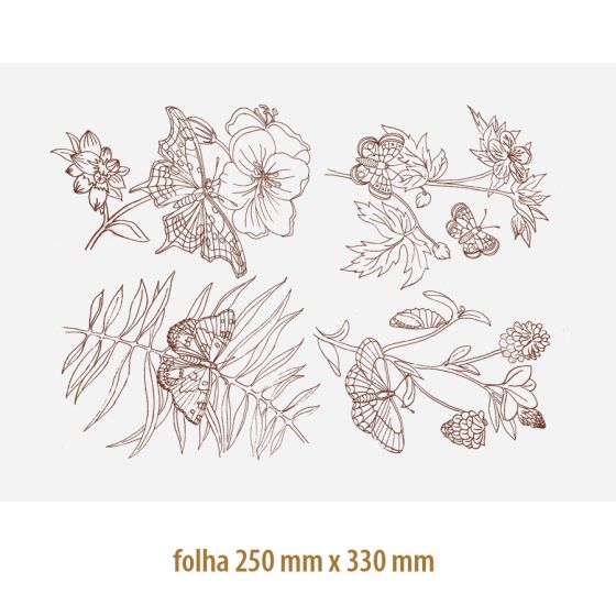 Decalque Contorno Borboleta 07 1