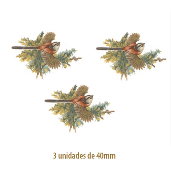 Long Tailed - 40mm 1