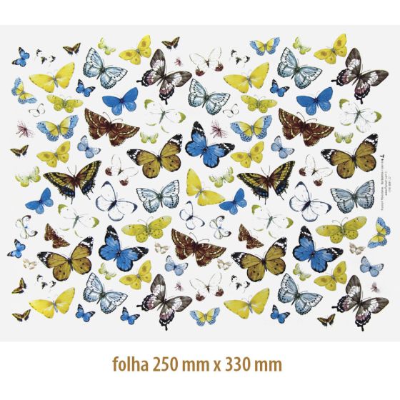Borboletas Coloridas 01 1