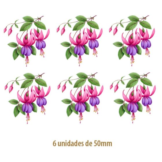 Fucsia Popple C - 50mm 1