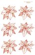 Ouro Poinsetia 02 2