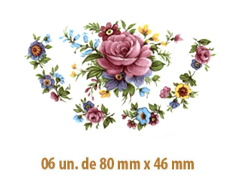 Clau F - 80x46mmX6un 1