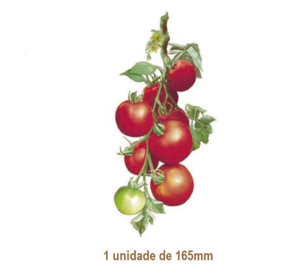 TOMATOES-165mmx1un.jpg