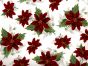 TAPETE - POINSETIALARGE1.jpg