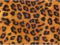 TAPETE - LEOPARD.jpg