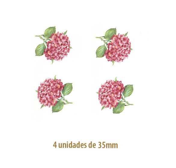 Hortensia Rosa - 35mm 1