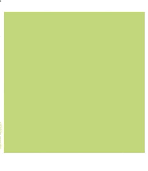 Chapado Verde Claro - Porcelana 1