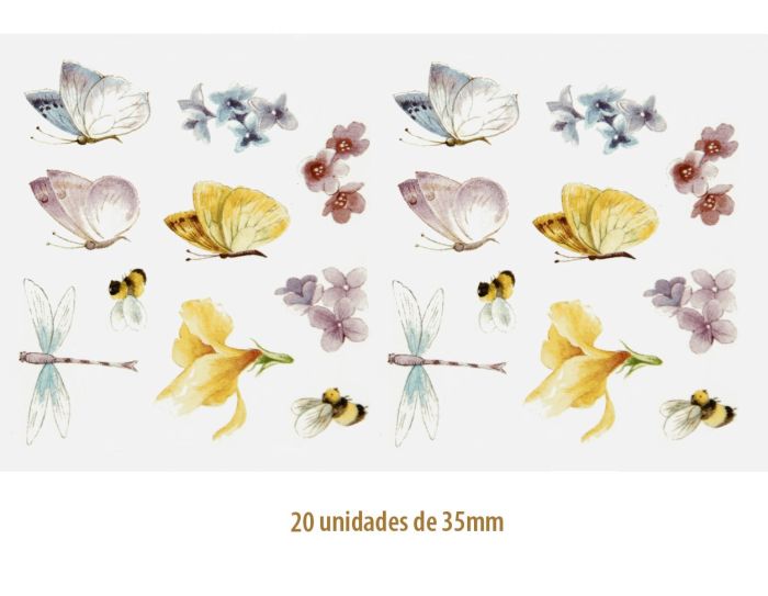 D_Bugs_35mmx20un_A.jpg