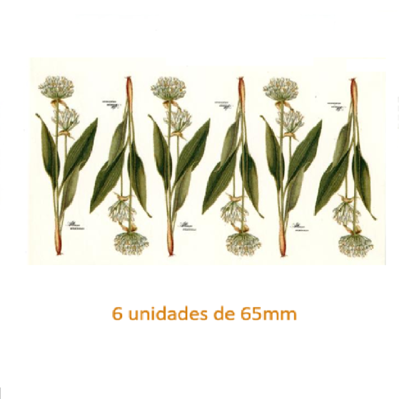 Garlic Flower 65mm x 6un