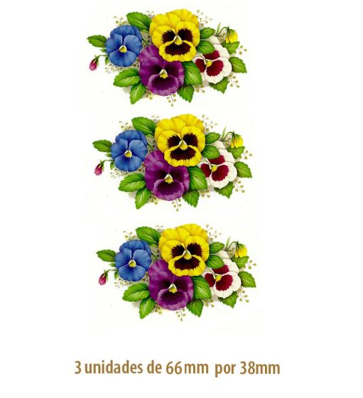 Amor Perfeito I - 66mm 1