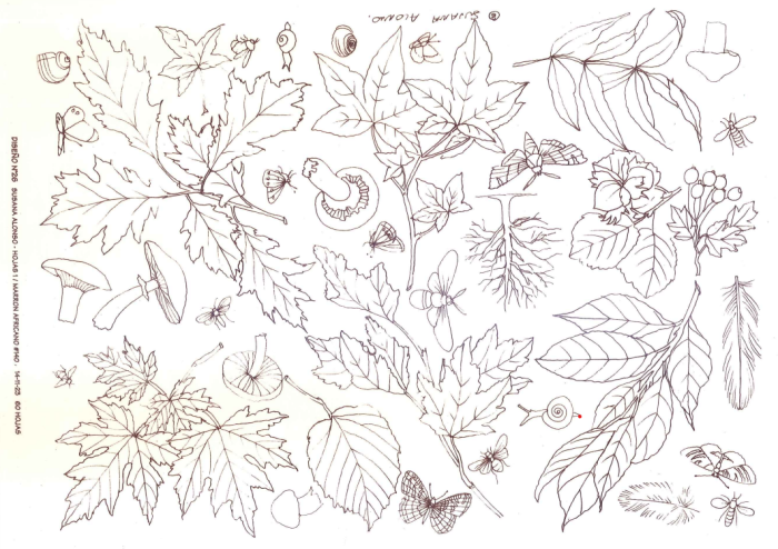 Decalque Contorno Hojas 1 - Sépia 1