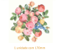 Rosa Versailles 170mm 1