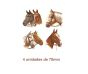 Horse-70mm.jpg